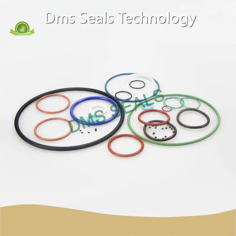 Custom Made O Rings PRODUCTS Wholesale - DMS Seals 1