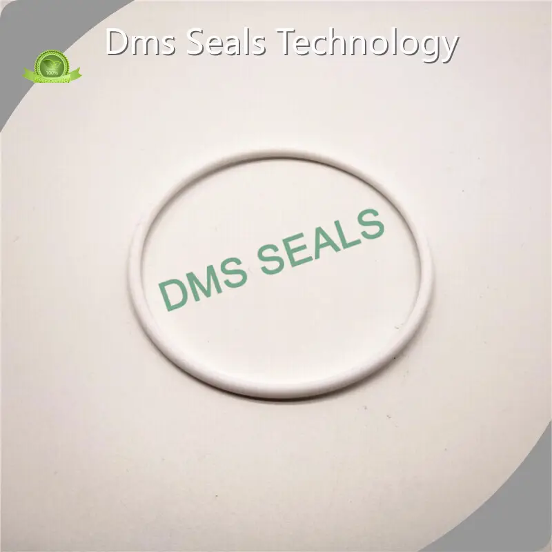 Rubber O Rings O-Rings Wholesale - DMS Seals 1