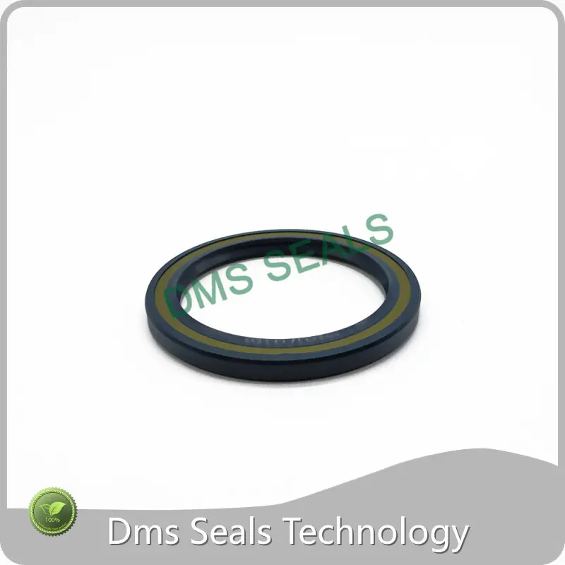 DMS Seals Oil Seals Factory Direct Supply 1