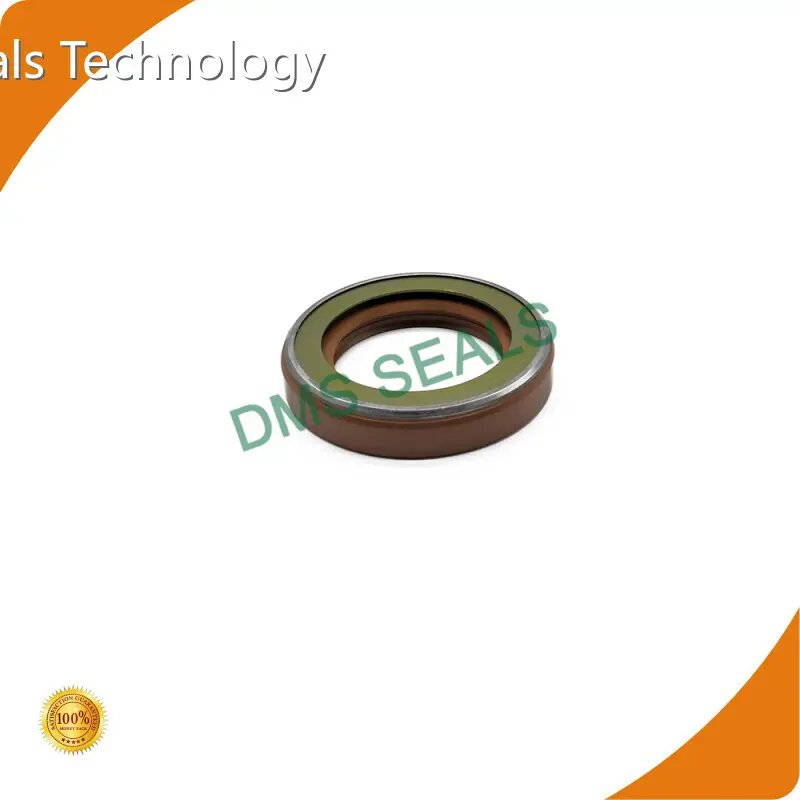 DMS Seals Oil Seal Catalog Factory 1