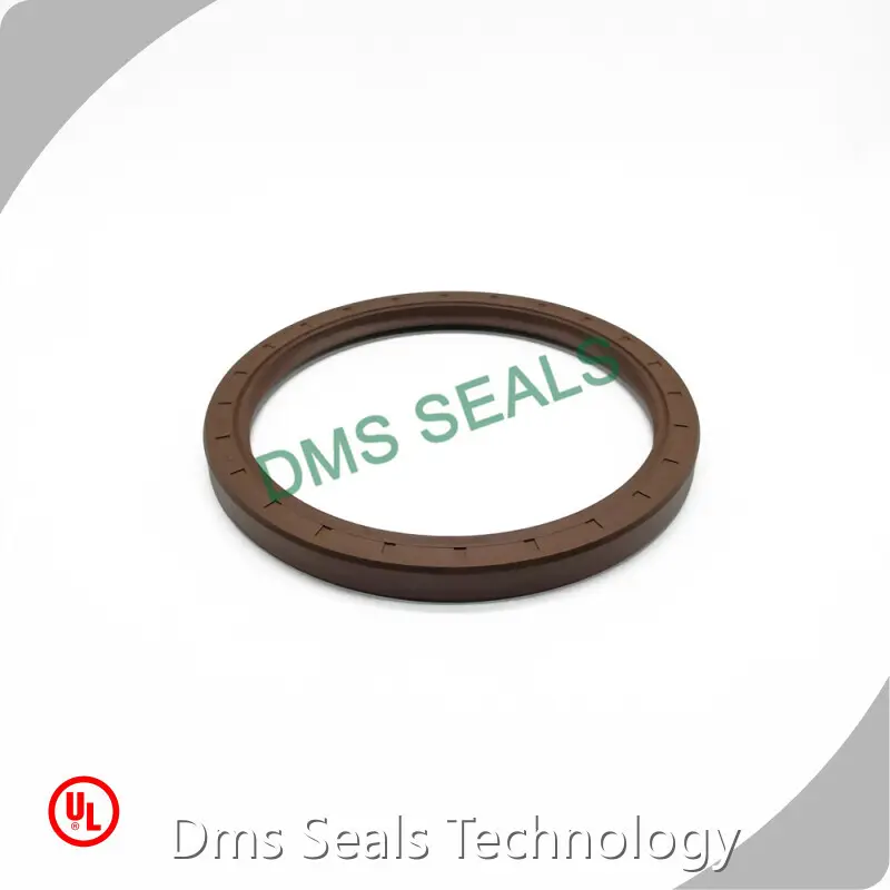 Oil Seal Types by DMS Seals 1
