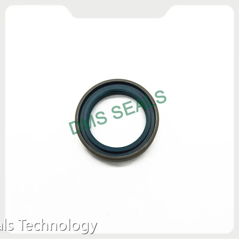 DMS Seals Oil Seal Catalog Factory-1 1