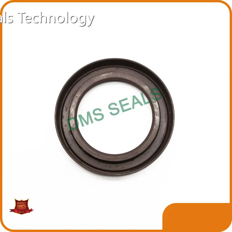 Viton Oil Seal by DMS Seals 1