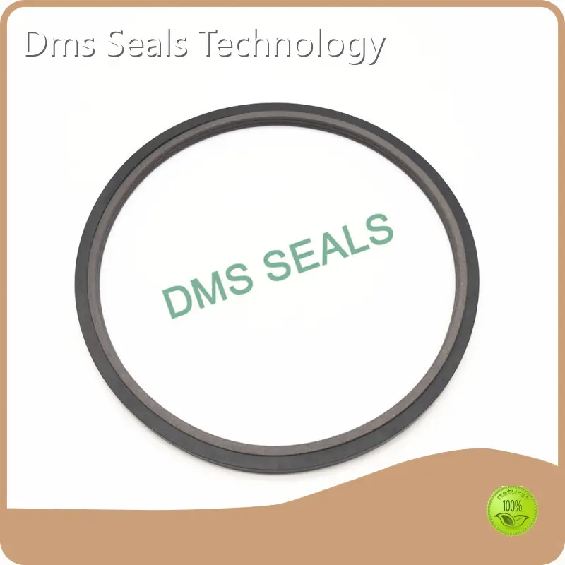 Custom Made Pneumatic Rod Seals Company 1