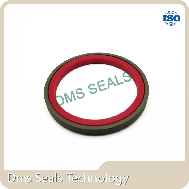 DMS Seals Hydraulic Cylinder Piston Seal Types Supplier 1