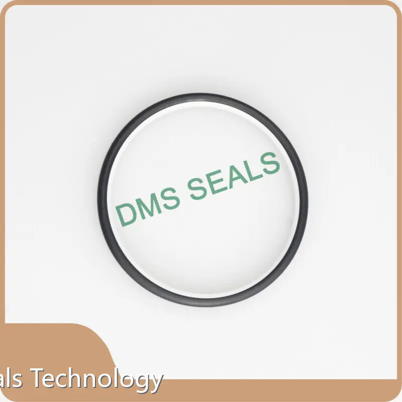 Hydraulic Cylinder Rod Seals Rod Seals Wholesale - DMS Seals 1