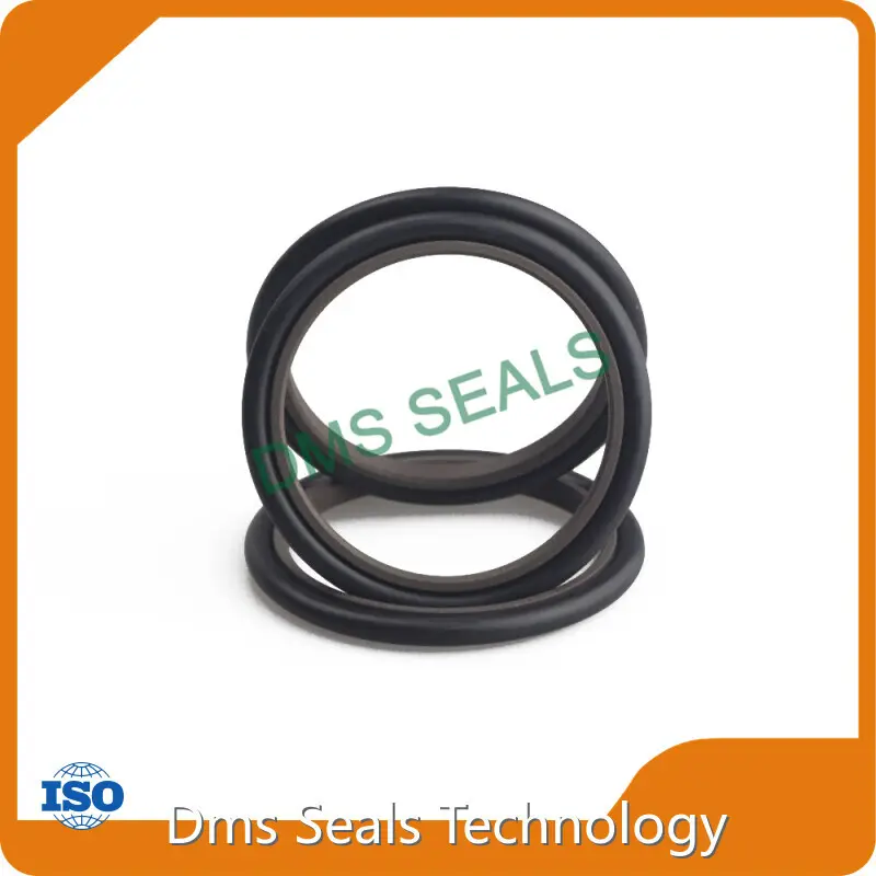 Cost-effective Hydraulic Cylinder Piston Seal Types Company 1