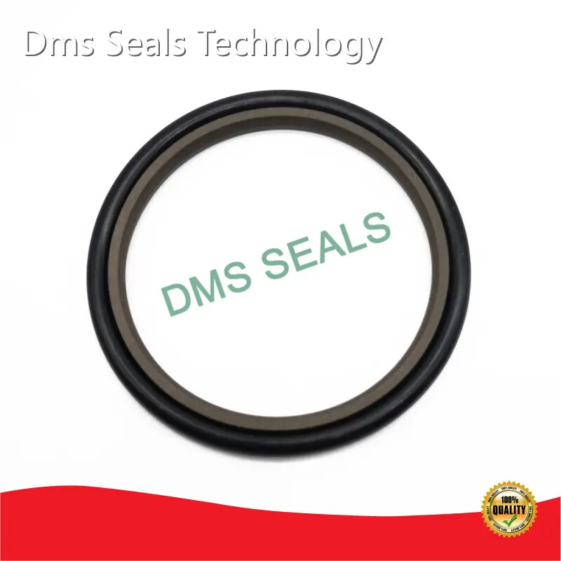 Rod Seals Rod Wiper Seal Supplier 1