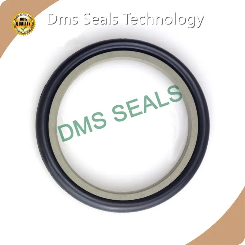 DMS Seals Pneumatic Rod Seal Maker 1