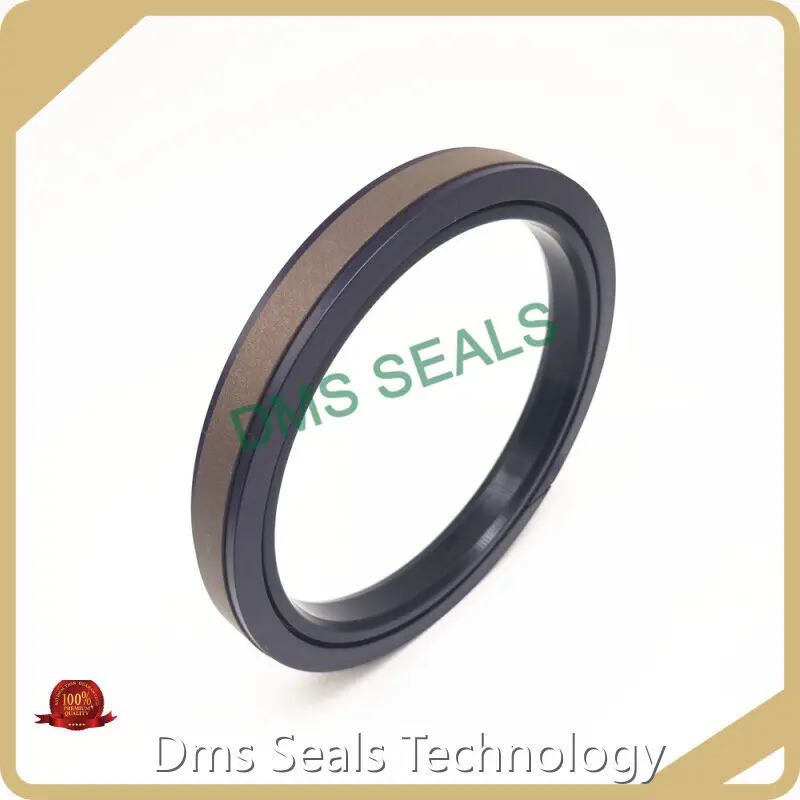 Piston Seals Rubber Piston Seals Manufacturer 1