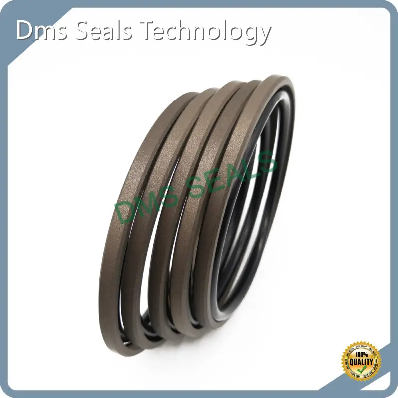 DMS Seals Hydraulic Piston Seals Hydraulic Piston Seals Wholesale 1