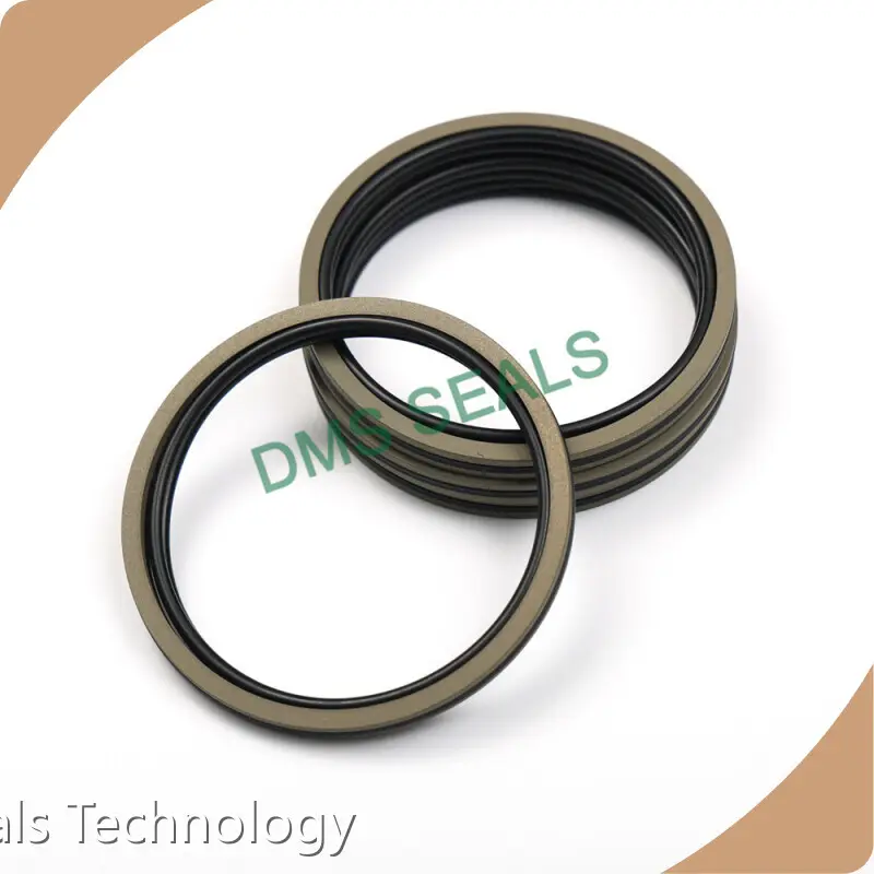 Customized Hydraulic Piston Seals Company 1