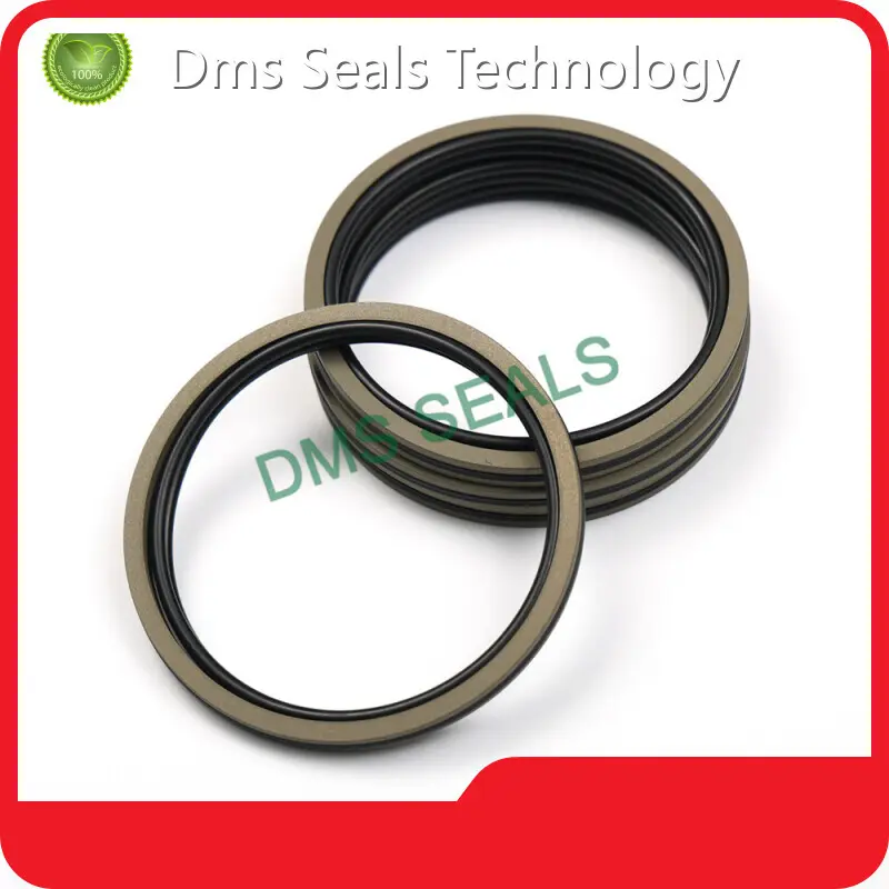 Hydraulic Piston Seals Sizes Piston Seals Wholesale - DMS Seals 1