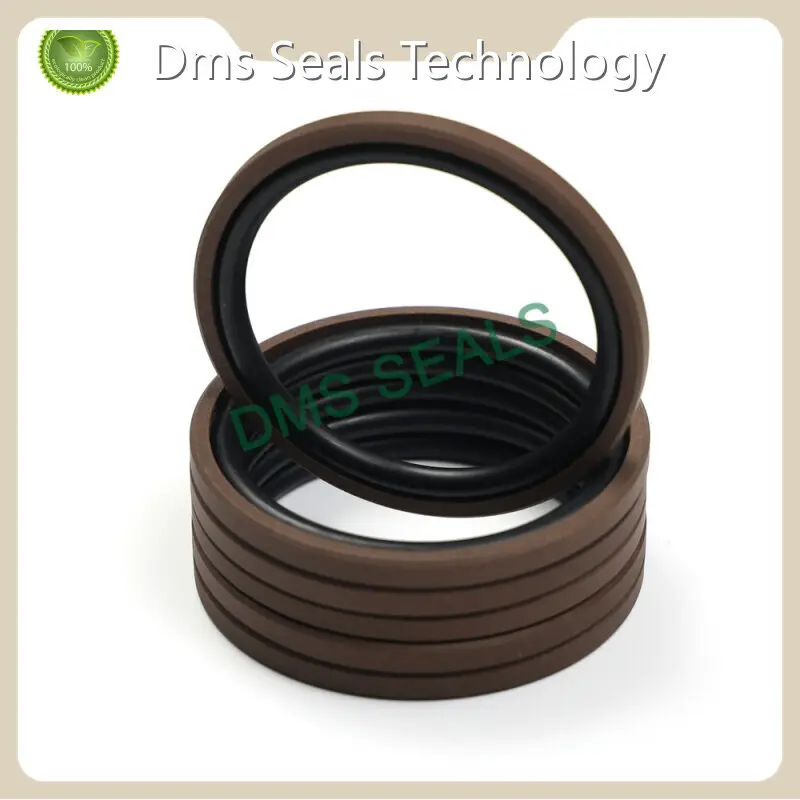 Hydraulic Cylinder Piston Seals by DMS Seals 1