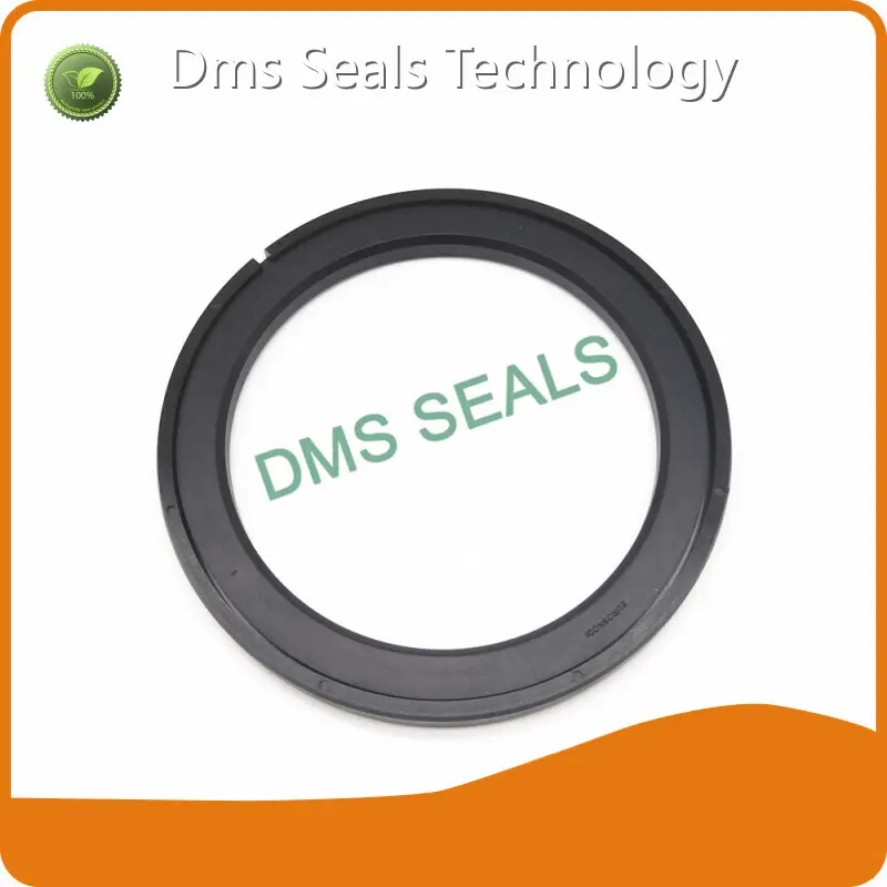 DMS Seals Hydraulic Piston Seals Hydraulic Piston Seals Factory Price 1