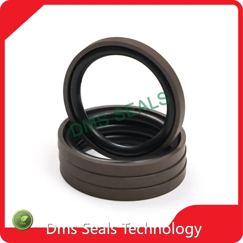 Hydraulic Piston Seals by DMS Seals 1