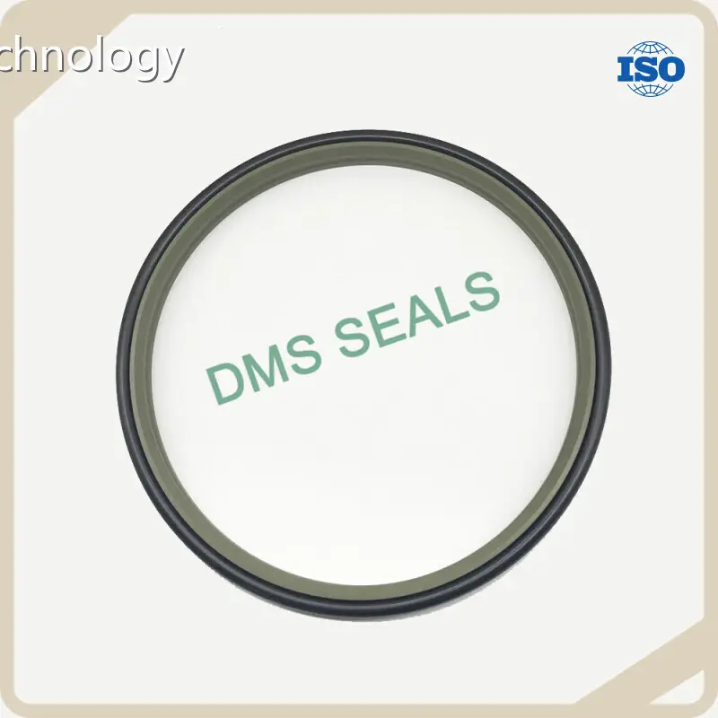 Good Selling Wiper Seal Design Company 1
