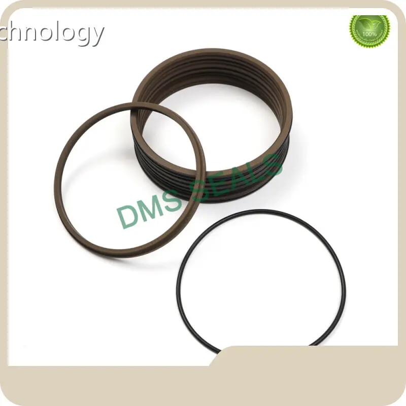 Metric Wiper Seal by DMS Seals 1
