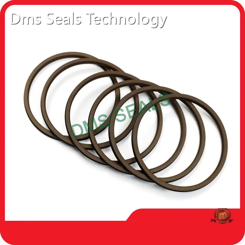 Wiper Seals Scraper Seals Wholesale - DMS Seals 1
