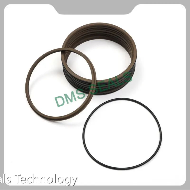 Wiper Seal Design by DMS Seals 1