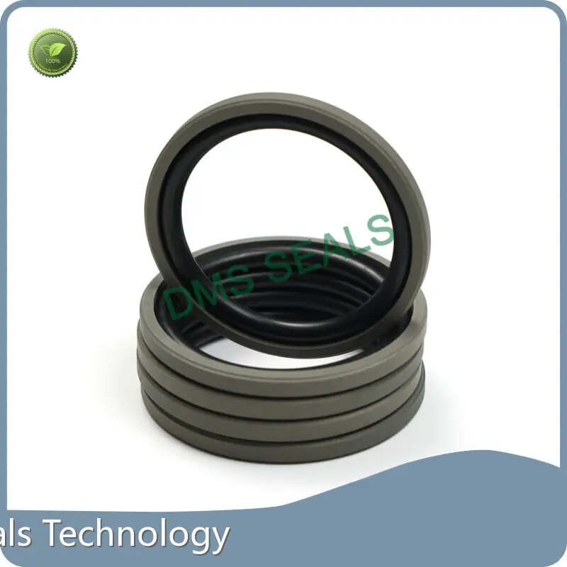 Wiper Seal Design Scraper Seals Wholesale - DMS Seals 1