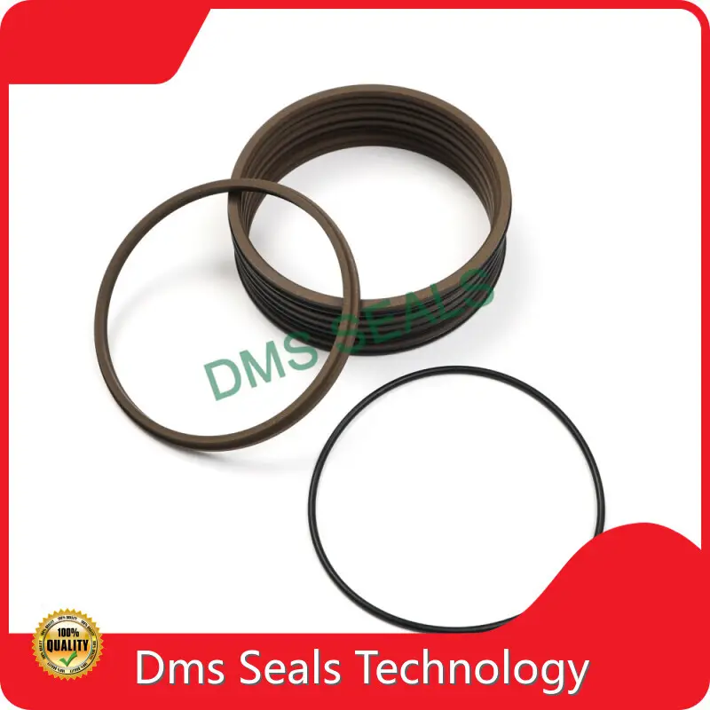 Wiper Seals Scraper Seals Wholesale - DMS Seals-1 1