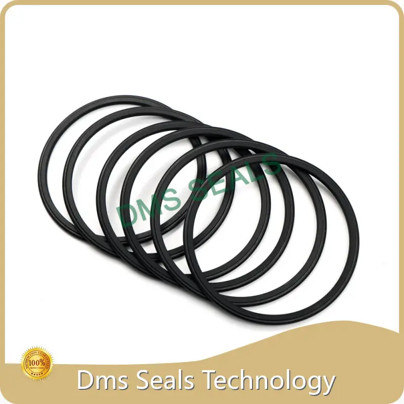 Rotary Shaft Seals by DMS Seals 1