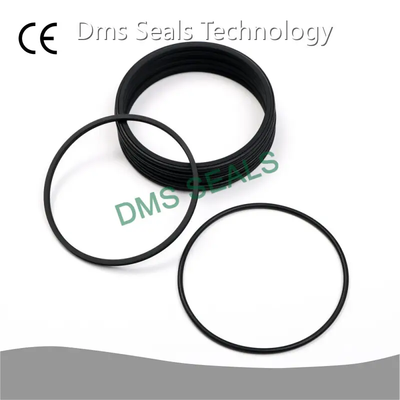 DMS Seals Rotary Seal Ring Factory 1
