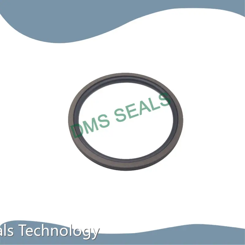 DMS Seals Rotary Seals Catalogue Rotary Seals Catalogue Supply 1