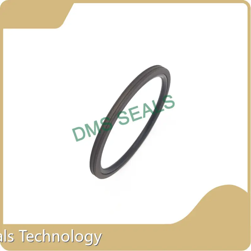 Ptfe Rotary Shaft Seals Rotary Seals Wholesale - DMS Seals 1