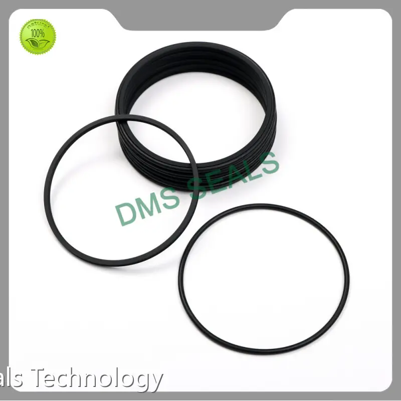 DMS Seals Rotating Shaft Seals Top Brand 1