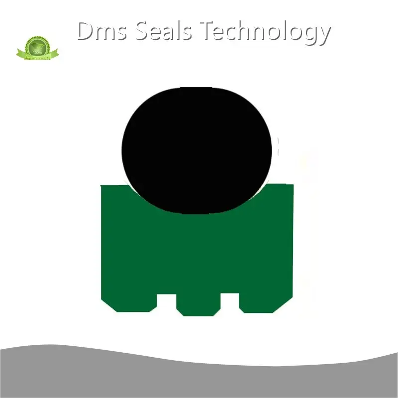 Best Rotary Seals Manufacturer Company 1