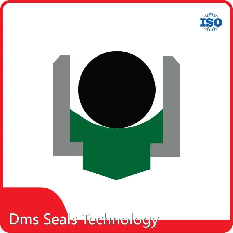 Rotary Seals PRODUCTS Wholesale - DMS Seals-1 1