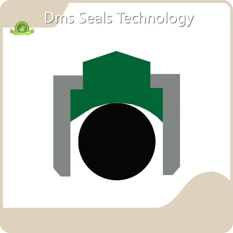 Top Selling Rotating Oil Seal Company 1