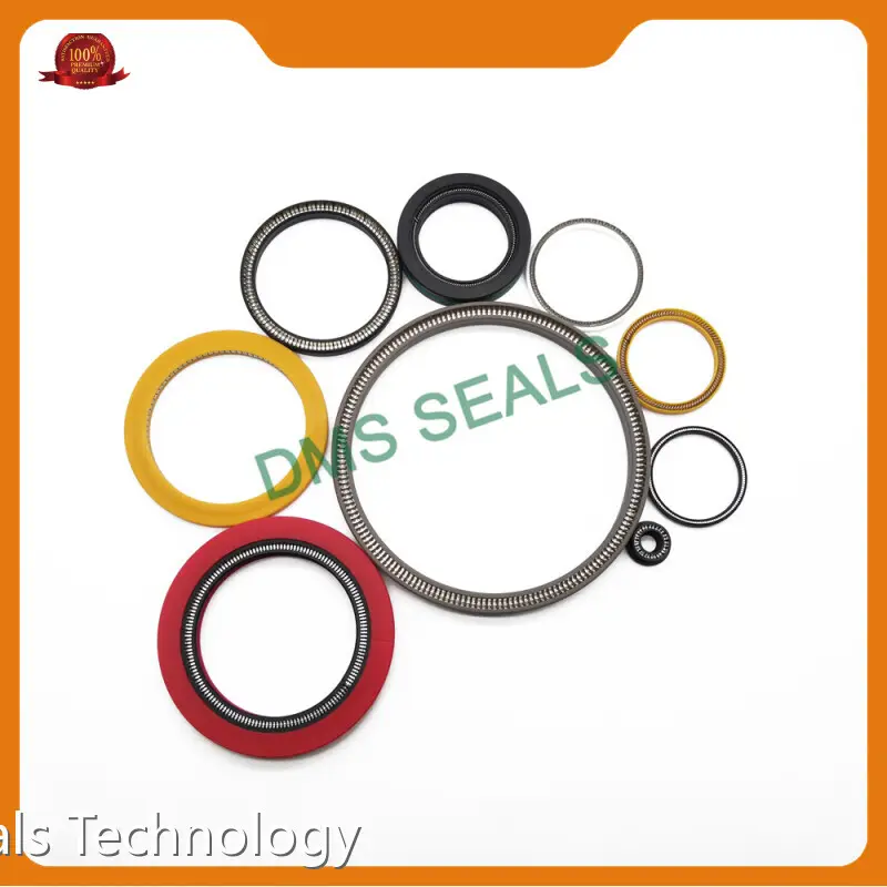 DMS Seals Spring Loaded Seals Spring Loaded Seals Distributor 1