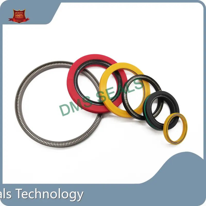DMS Seals Spring Energized O Ring Spring Energized O Ring Maker 1