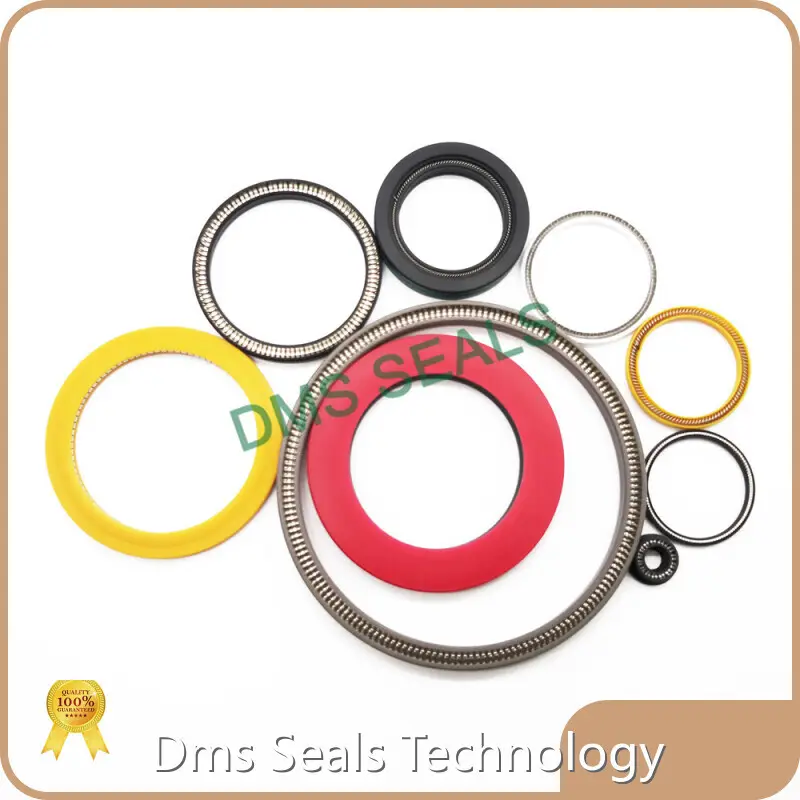 Cost-effective Ptfe Spring Seal Company 1