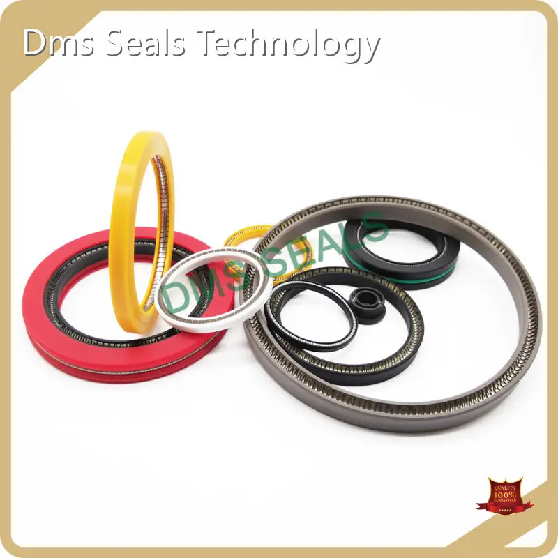 DMS Seals Ptfe Spring Energized Seals Manufacturer 1