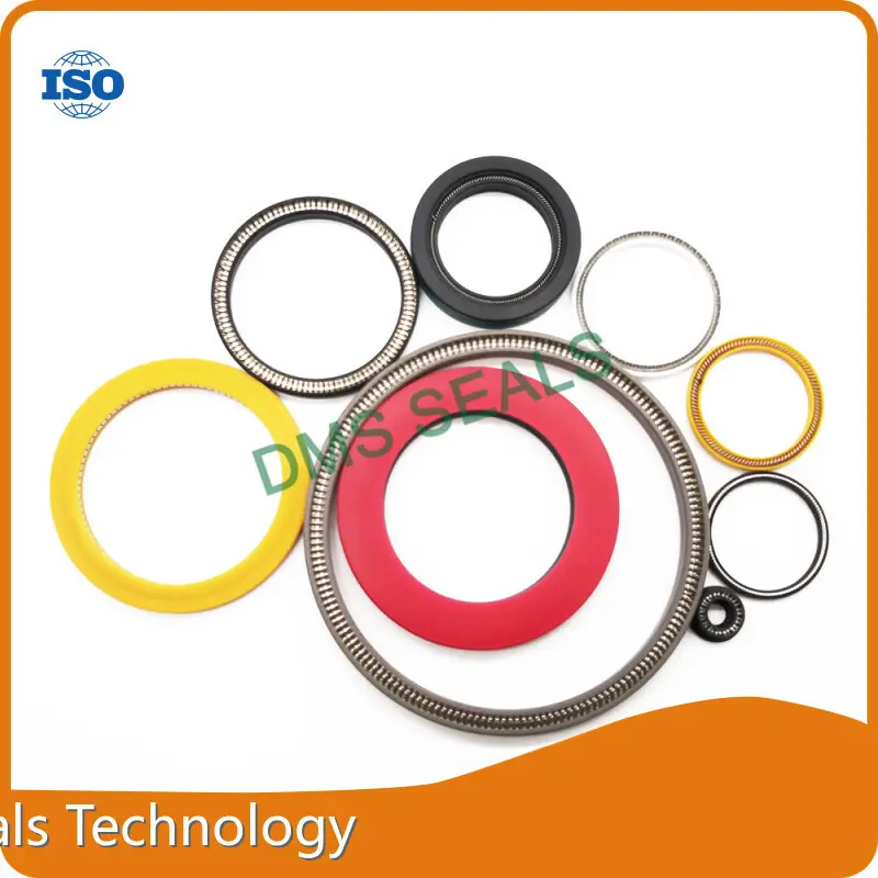 Spring Loaded Ptfe Seal PRODUCTS Wholesale - DMS Seals 1