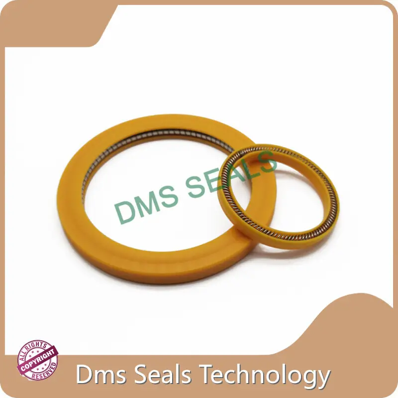 Spring Loaded Seal by DMS Seals 1