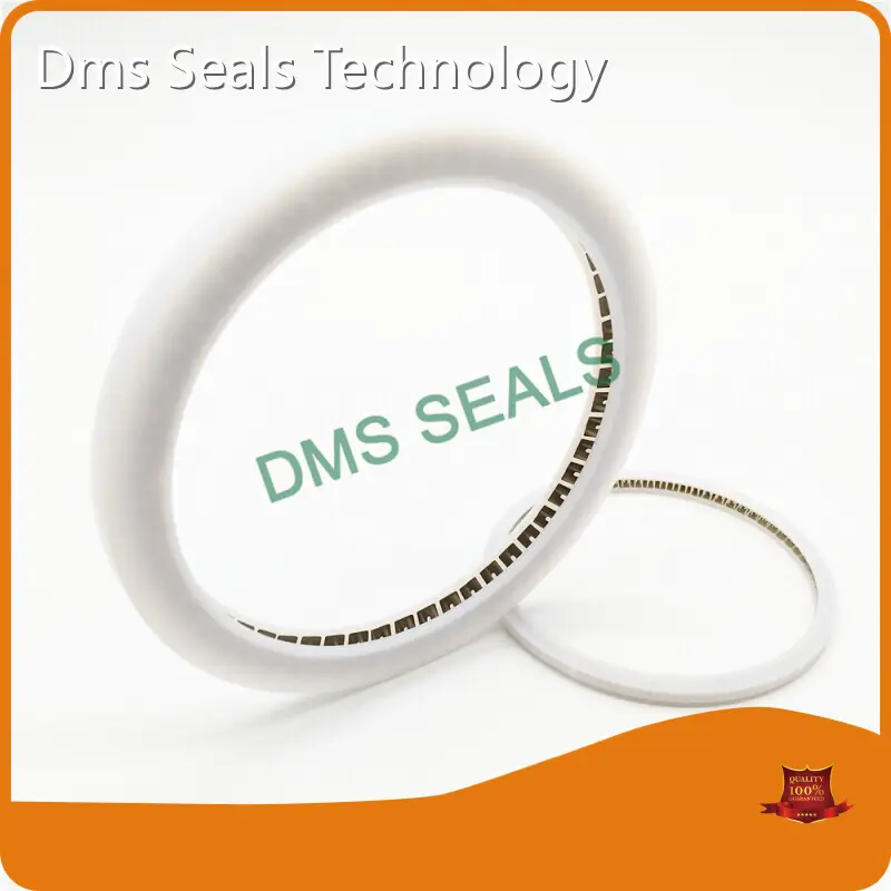 Spring Energised Seal Spring Seals Wholesale - DMS Seals 1