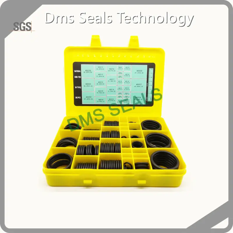 O-Ring Kits O Ring Seal Kit Supply 1