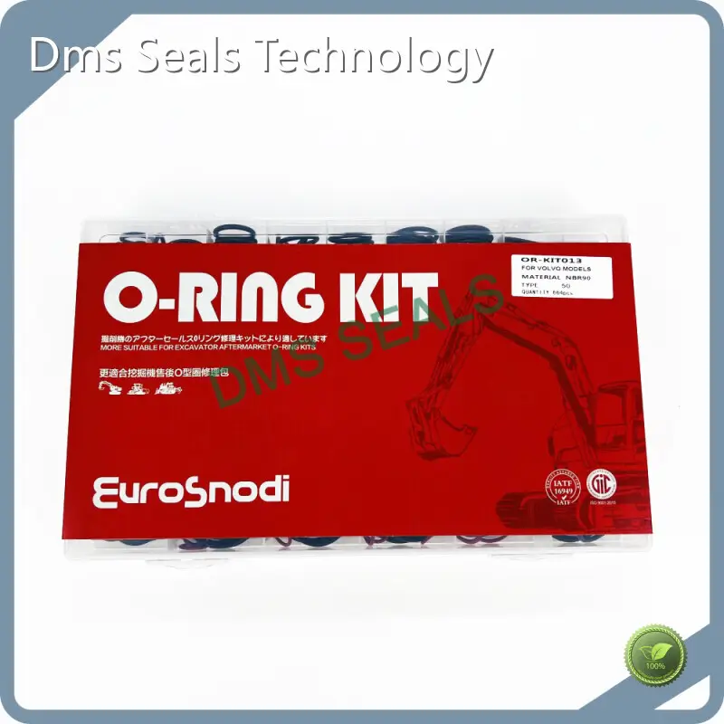 DMS Seals Oring Kit Oring Kit Factory 1