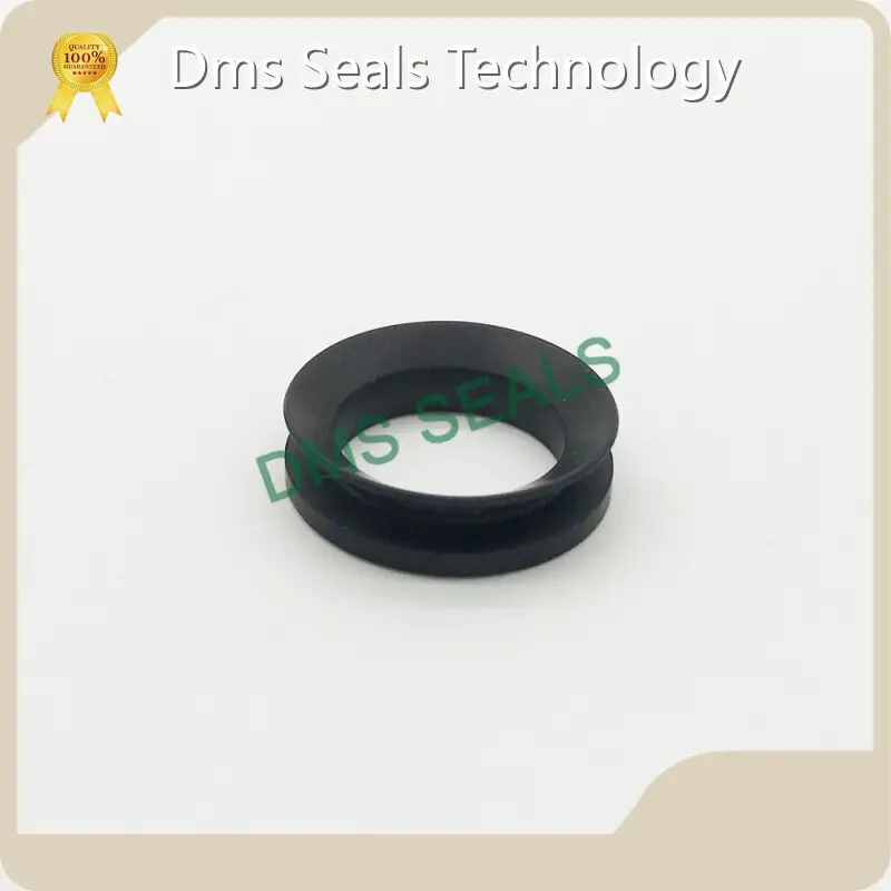 DMS Seals Rubber Seal Products Rubber Seal Products Manufacturer 1