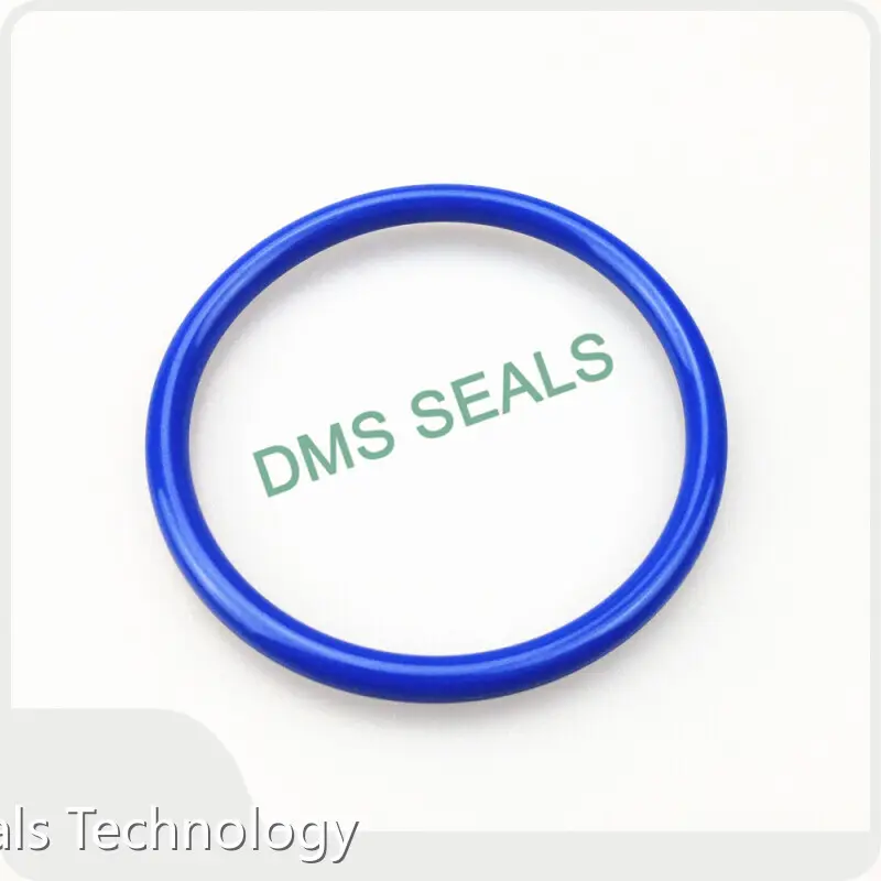 Custom O Rings PRODUCTS Wholesale - DMS Seals 1
