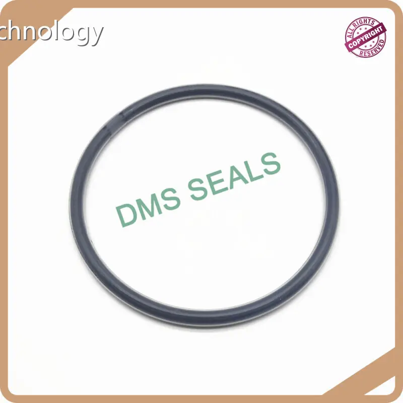 Fkm O Rings by DMS Seals 1