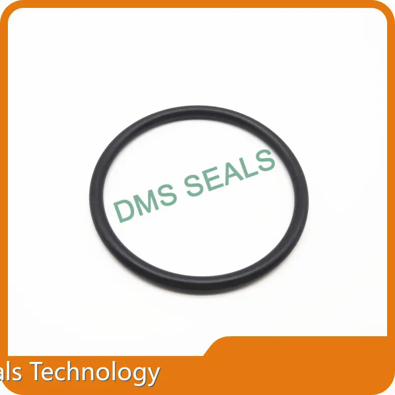 DMS Seals Rubber O Ring Seals Solution Provider 1