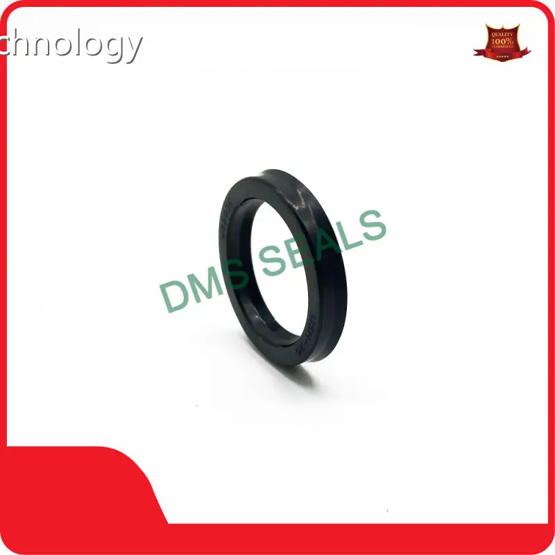 Oil Seal Types Oil Seals Wholesale - DMS Seals 1