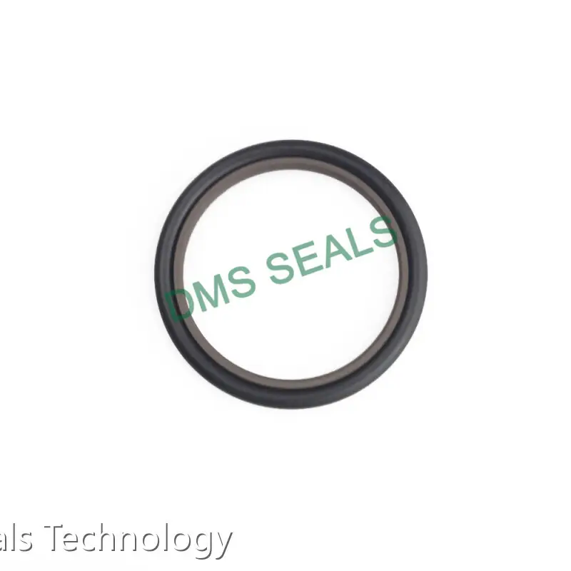 DMS Seals Hydraulic Rod Seals for Sale 1
