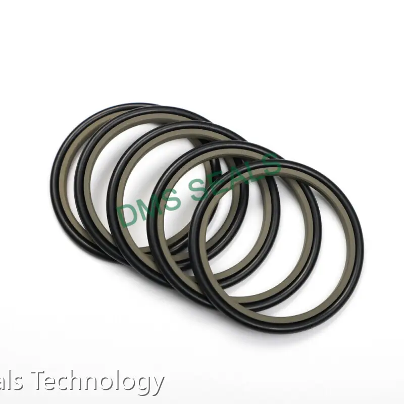 Ptfe Rod Seal Rod Seals Wholesale - DMS Seals 1